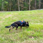 4b9b644b1b570d207acb7503a86b0897