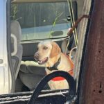 att.Uq61eoly2r45xNKM6fuU6x11d-HkphQCDoT56DFECu0